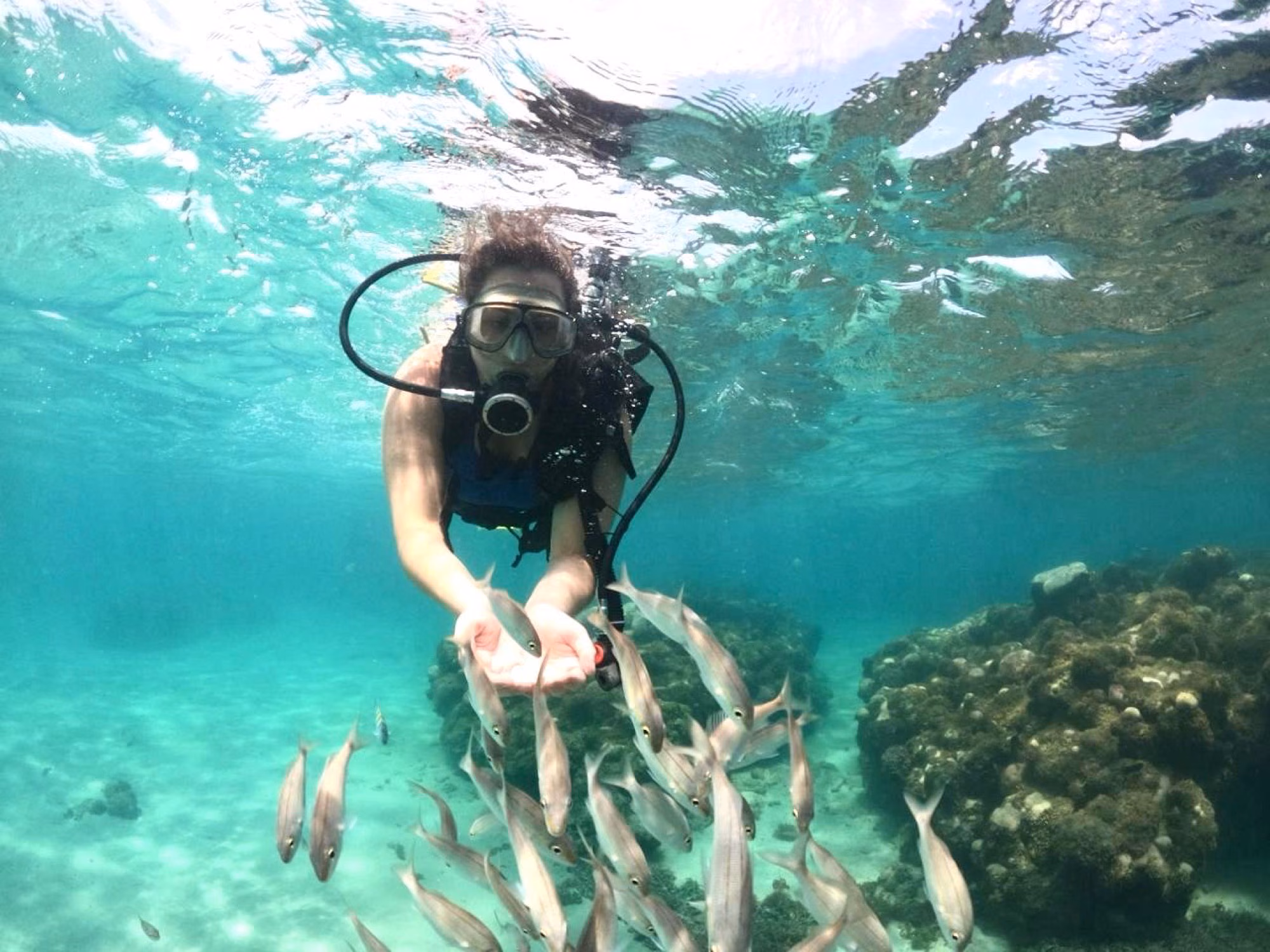 Mergulho em Maracajaú com cardume em água cristalina